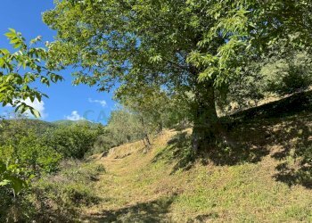 Foto 4 - Building land quadrelle, Quadrelle - photo 4