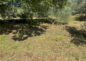 Foto 10 - Building land quadrelle, Quadrelle - photo 10