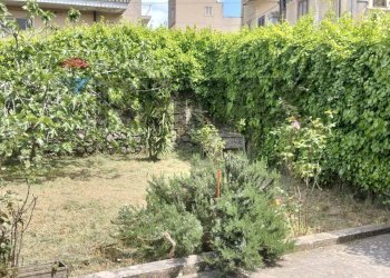 Giardino - Casa indipendente Via Rodolfo Morandi
 
3-5, Buccheri - foto 13