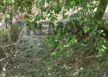 Giardino - Casa indipendente Via Rodolfo Morandi
 
3-5, Buccheri - foto 14
