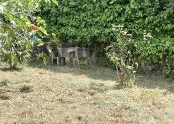 Giardino - Casa indipendente Via Rodolfo Morandi
 
3-5, Buccheri - foto 15