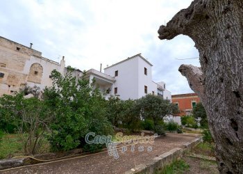 Terreno - Casa indipendente via San Pasquale, Parabita - foto 31
