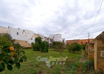 Terreno - Casa indipendente via San Pasquale, Parabita - foto 33