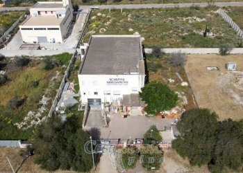 Vista - Stable - Palace SP52, Gallipoli - photo 13