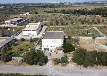 Vista - Stable - Palace SP52, Gallipoli - photo 15