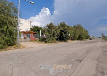 Zona - Stable - Palace SP52, Gallipoli - photo 22