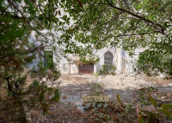 giardino - Stable - Palace via San Lazzaro, Gallipoli - photo 6