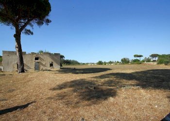 Rustic strada Provinciale Gallipoli Parabita Maglie, Alezio - photo 4