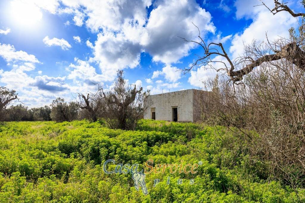 Terreno - Building land via Carlo Antonio Coppola, Alezio - photo 3