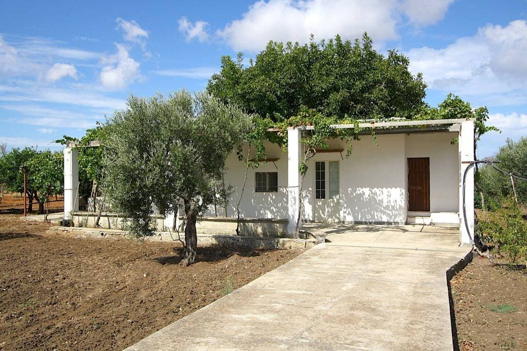 Giardino - Warehouse SP223, Gallipoli - photo 1