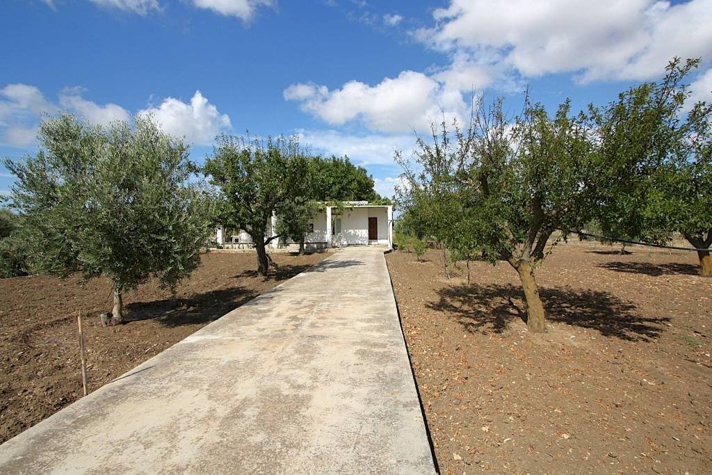 Terreno - Warehouse SP223, Gallipoli - photo 2