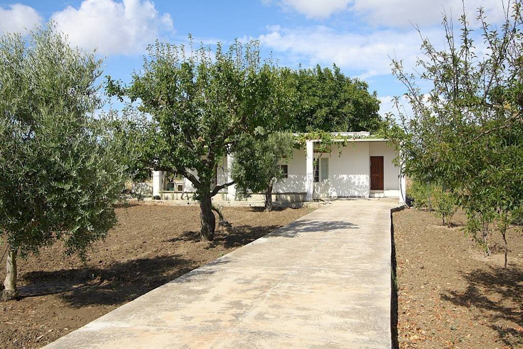 Terreno - Warehouse SP223, Gallipoli - photo 3