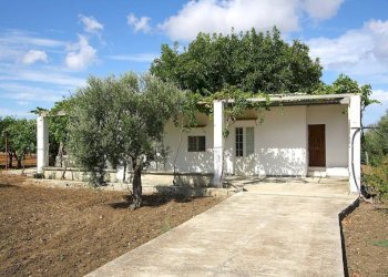 Giardino - Warehouse SP223, Gallipoli - photo 1