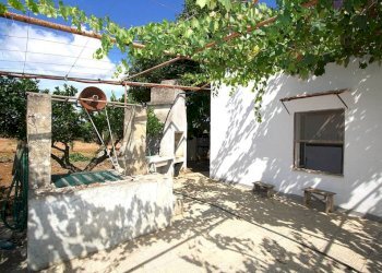 Giardino - Warehouse SP223, Gallipoli - photo 18