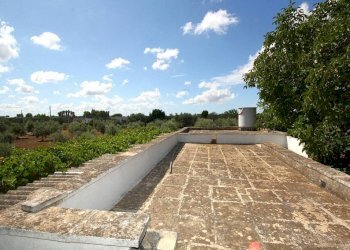 Terrazzo - Warehouse SP223, Gallipoli - photo 19