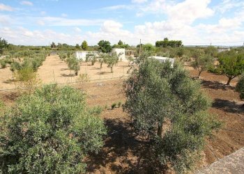 Vista - Warehouse SP223, Gallipoli - photo 21