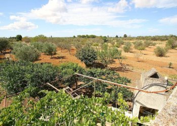 Vista - Warehouse SP223, Gallipoli - photo 23