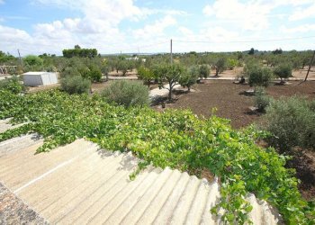 Terreno - Warehouse SP223, Gallipoli - photo 24