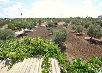 Terreno - Warehouse SP223, Gallipoli - photo 25