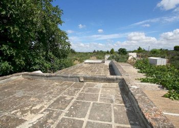Giardino - Warehouse SP223, Gallipoli - photo 26