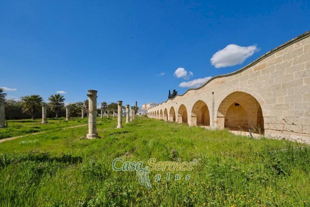 Terreno - Villa contrada Case Rosse, Oria - photo 3