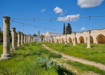Terreno - Villa contrada Case Rosse, Oria - photo 4