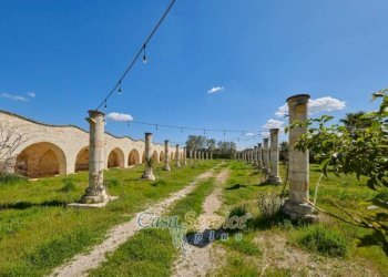 Terreno - Villa contrada Case Rosse, Oria - photo 6