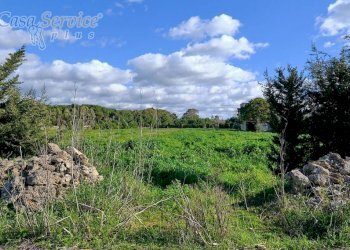 Terreno - Building land contrada Li Foggi, Gallipoli - photo 3