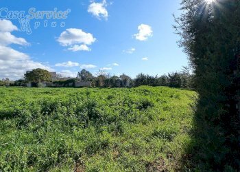 Terreno - Building land contrada Li Foggi, Gallipoli - photo 4