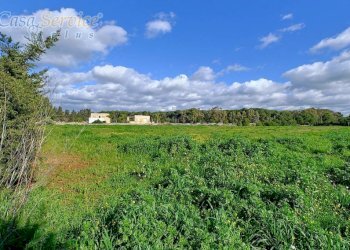 Terreno - Building land contrada Li Foggi, Gallipoli - photo 5