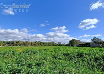 Terreno - Building land contrada Li Foggi, Gallipoli - photo 6