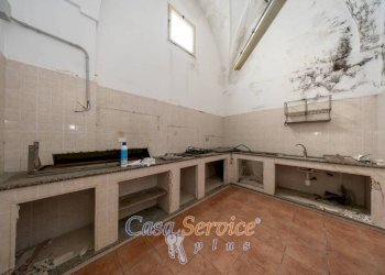 Cucina - Stable - Palace via Vittorio Emanuele, Supersano - photo 22