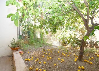 Giardino - Independent house via Torino, Matino - photo 25