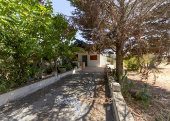 Villa SP223, Matino - photo 4