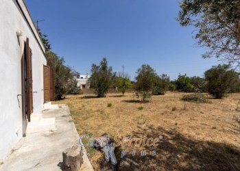 Villa SP223, Matino - photo 20