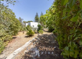 Villa SP223, Matino - photo 23