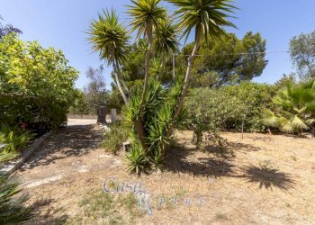 Villa SP223, Matino - photo 24