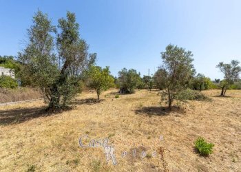 Villa SP223, Matino - photo 27