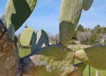 Villa SP194, Sannicola - foto 3