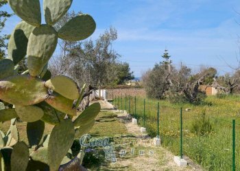 Villa SP194, Sannicola - foto 4
