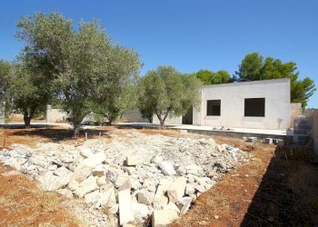 Terreno - Villa SP91, Ugento - photo 2