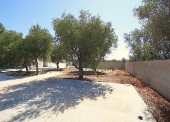 Terreno - Villa SP91, Ugento - photo 9