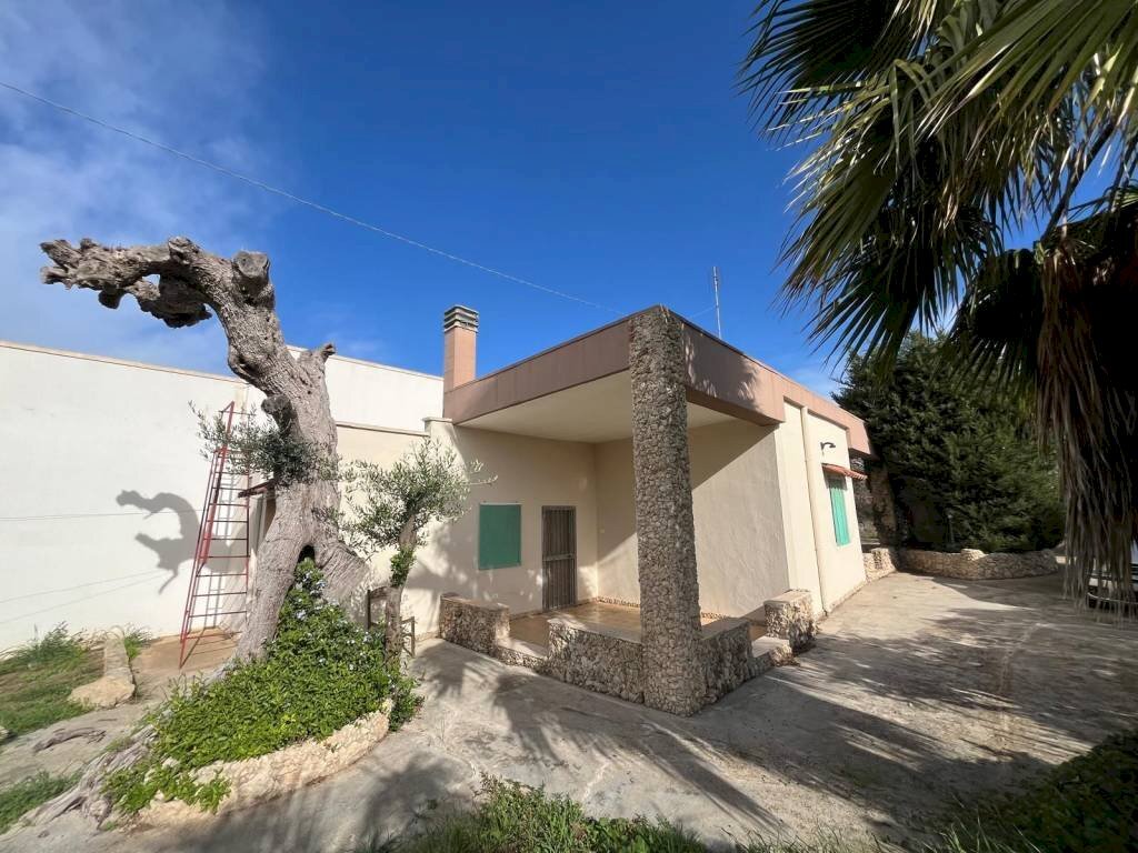 Giardino - Villa SP223, Gallipoli - photo 3