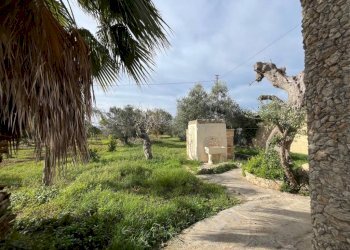 Terreno - Villa SP223, Gallipoli - photo 19