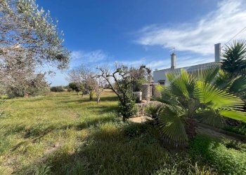 Terreno - Villa SP223, Gallipoli - photo 24