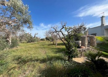 Terreno - Villa SP223, Gallipoli - photo 25