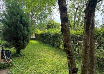 Giardino - Villa via Fratelli Cervi, Travacò Siccomario - photo 48