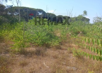 Vista delle montagne - Terreno agricolo solfegna cantoni, Cassino - foto 3