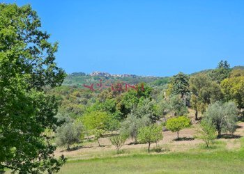 Foto 40 - Villa Roccastrada - foto 40