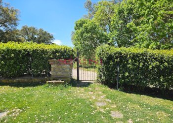 Foto 41 - Villa Roccastrada - foto 41